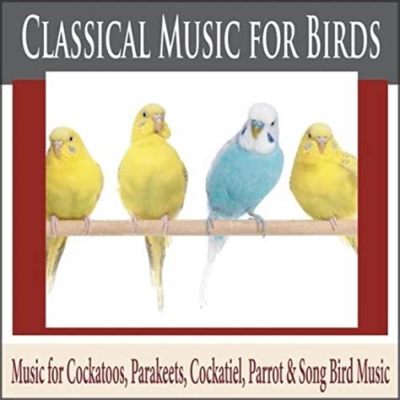 do parakeets prefer classical music over pop songs